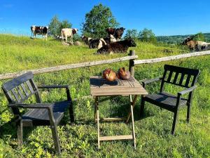 Paesaggio naturale nelle vicinanze della casa vacanze