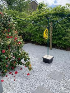 Φωτογραφία από το άλμπουμ του Mountain View Apartment σε Killarney
