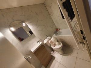 vistas a un baño con aseo y lavabo en Appartement spacieux en Salins-les-Bains