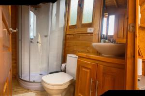a bathroom with a toilet and a sink and a shower at Benigno Mirador in Guatavita