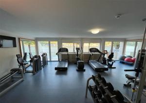 un gimnasio con cintas de correr y bicicletas estáticas en Platinum Suite, en Morcote