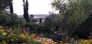 um jardim cheio de flores e árvores em Appartement à 8 km de la mer - 3 chambres em Vendres