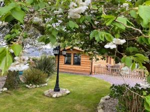 卡納芬的住宿－Snowdonia cabin，一个带小木屋的院子里的灯柱
