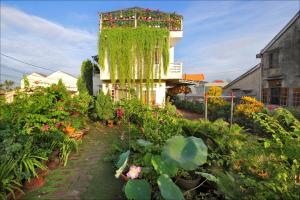 un jardín con flores y plantas frente a un edificio en Skybird Homestay, en Hoi An