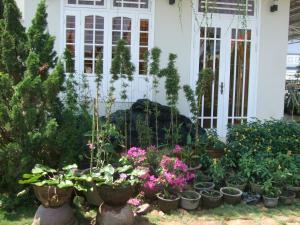 Zahrada ubytování Skybird Homestay