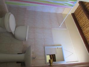 a bathroom with a toilet and a mirror at Altos del Lascar in Toconao