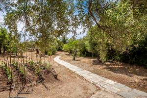Vonkajšia záhrada v ubytovaní Hidden Gem Sithonia