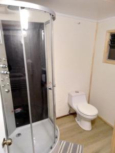 a bathroom with a shower and a toilet in it at Hostal Casamar-Viña in Viña del Mar