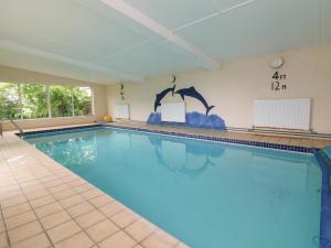 a swimming pool with a dolphin stencil on the wall at The Loft in Holsworthy