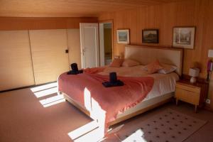 - une chambre avec un grand lit dans l'établissement Chalet Caroline, à Grindelwald