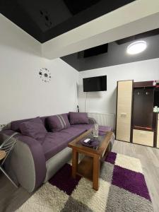 ein Wohnzimmer mit einem lila Sofa und einem Tisch in der Unterkunft Roxy apartament in Constanţa