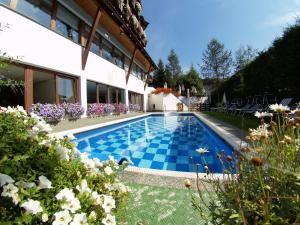 Bazén v ubytování Hotel Montana nebo v jeho okolí + 19 fotografií