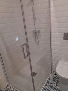 y baño con cabina de ducha y aseo. en São Bartolomeu Apartment 4, en Coímbra
