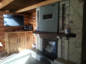 a living room with a fireplace and a tv at Brīvdienu māja Ezerlīči in Korneti