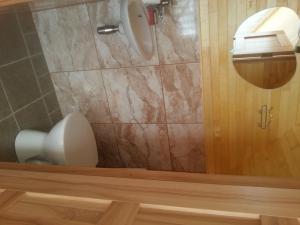 a bathroom with a shower with a toilet at Brīvdienu māja Ezerlīči in Korneti +15 photos