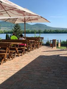 Fotografie z fotogalerie ubytování Penzion Vinařský dům PÁLAVA v destinaci Strachotín