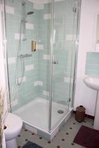 a bathroom with a shower with a toilet and a sink at Wohnung Alter Heuboden im Fachwerk bei Bonn Alfter in Heidgen