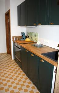 a kitchen with green cabinets and a checkered floor at Wohnung Alter Heuboden im Fachwerk bei Bonn Alfter in Heidgen