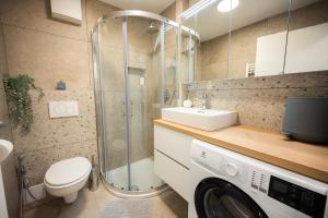 une salle de bain avec toilettes, un lavabo et une douche dans l'établissement APARTMENT 396, à Ljubljana 48 autres photos