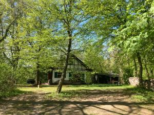 ein Haus inmitten eines Gartens mit Bäumen in der Unterkunft Haus am Wald in Rudolstadt