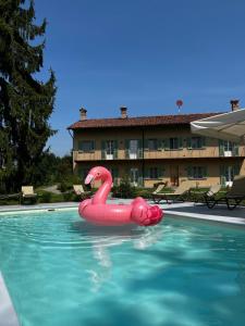 un flamingo gonflable rose dans une piscine dans l'établissement Sangrato 1883, à Monteu Roero