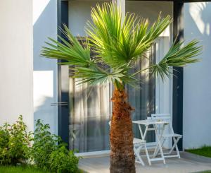a palm tree in front of a building at CHARM BEACH HOTEL in Akyarlar