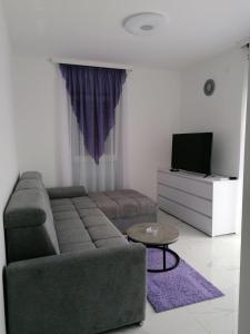 Televízia a/alebo spoločenská miestnosť v ubytovaní Vila Slavica