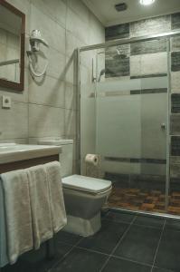 a bathroom with a shower and a toilet and a sink at Palm Hotel in Batumi