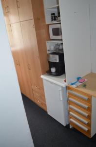 Kuchyň nebo kuchyňský kout v ubytování ROOM IN TREBON + 6 fotografií