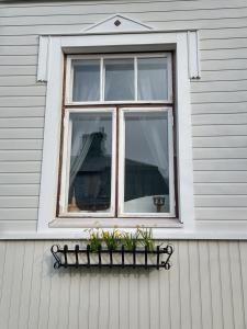 a window on a house with flowers in a ledge at Viinikan Tähti lemmikkiystävällinen kotimajoitus in Tampere