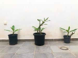 Fotografia z galérie ubytovania Varela apartamentos B v destinácii Málaga