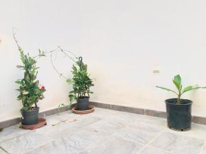 Fotografia z galérie ubytovania Varela apartamentos B v destinácii Málaga
