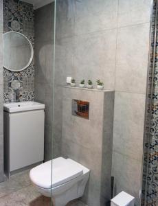 un bagno con wc e doccia in vetro di Domki Wypoczynkowe LUBKOWIA a Lubkowo