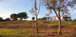 een huis op een heuvel met twee bomen bij Monte da Xara in Aljezur