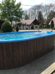 a man in a swimming pool in a fence at Tölgyfa Vendégház in Kiskőrös