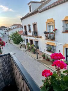 アルダレスにあるApartment with roof Terrace and ACの花の咲く建物の景色