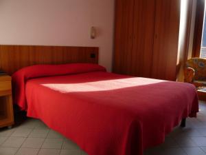 Postel nebo postele na pokoji v ubytování Hotel Rezia