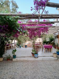 Photo de la galerie de l'établissement Eucalyptus Pension, à Patara