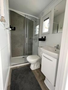 La salle de bains est pourvue d'une douche, de toilettes et d'un lavabo. dans l'établissement Polderhuisje 2 - Heerlijk chalet met overkapt terras en 2 slaapkamers - max 4 pers - 3 km van Noordzee - locatie op camping 2, à Rockanje