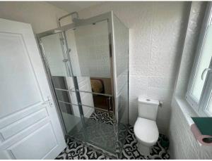 La salle de bains est pourvue de toilettes et d'une douche en verre. dans l'établissement The California Dream - hyper-centre - 2mn gare SNCF - WIFI NETFLIX gratuit, à Niort