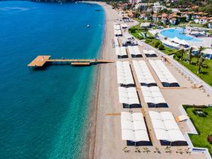 eine Luftansicht auf einen Strand mit weißen Sonnenschirmen in der Unterkunft Club Marco Polo - Premium All Inclusive in Kemer