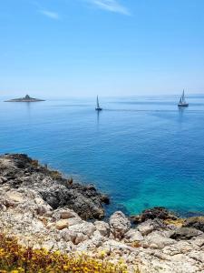 Priroda u blizini apartmana