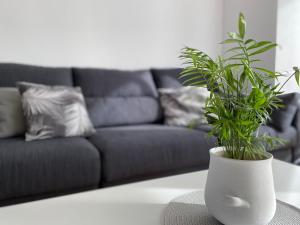 Gallery image of Apartamento Alora in Logroño