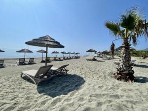 einen Strand mit Liegestühlen und Sonnenschirmen und einer Palme in der Unterkunft Village Vacances La Vallicella in Poggio-Mezzana