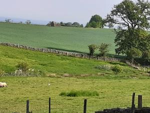 Paesaggio naturale nelle vicinanze del bed & breakfast