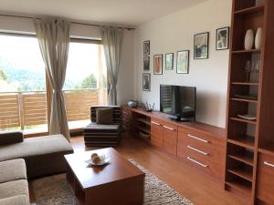 a living room with a couch and a television at Apartmán 316 in Donovaly