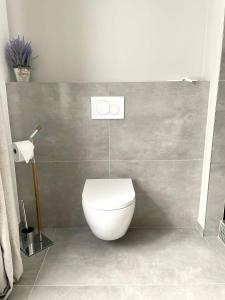 a bathroom with a white toilet in a room at WEINHOF Winningen Traumwohnung im „La Mosel• in Winningen