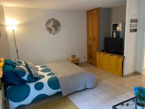 een slaapkamer met een bed en een flatscreen-tv bij Appartement Cosy avec jardin privatif et garage in Fontainebleau