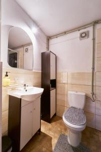 y baño con aseo y lavamanos. en Domek Pod Lasem en Polanica-Zdrój