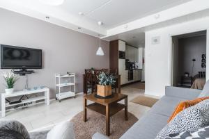 a living room with a couch and a tv at Holiday In Lapland - LeviStar II 312 in Levi